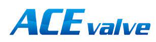 ACE VALVE Corporation